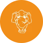 Packagist SVG Icon